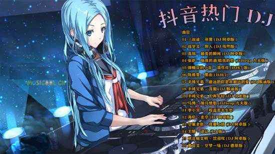 抖音热门DJ系列mp3+flac+WAV整轨