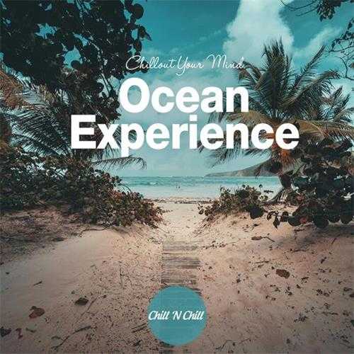 【休闲沙发】VA-2024-OceanExperience：ChilloutYourMind(FLAC)